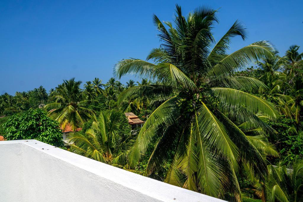 Hotel Eden Blue Hikkaduwa Exterior foto