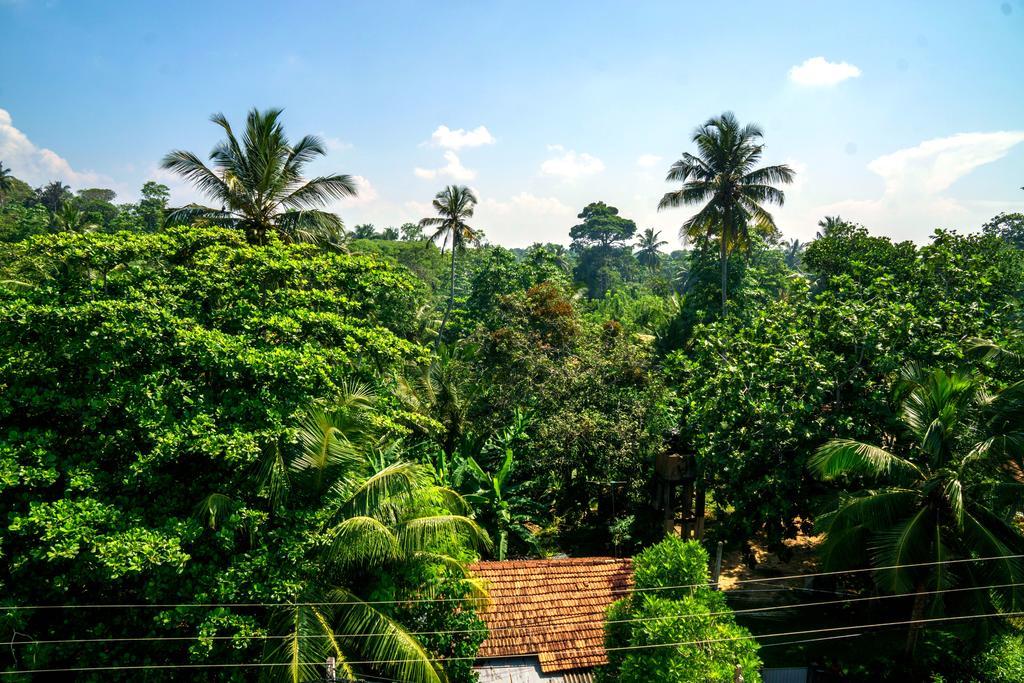 Hotel Eden Blue Hikkaduwa Exterior foto